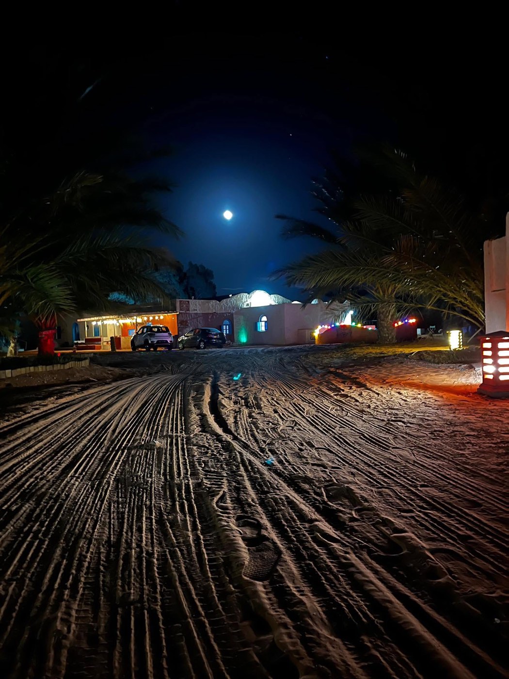 Campement Oasis Ksar Ghilane