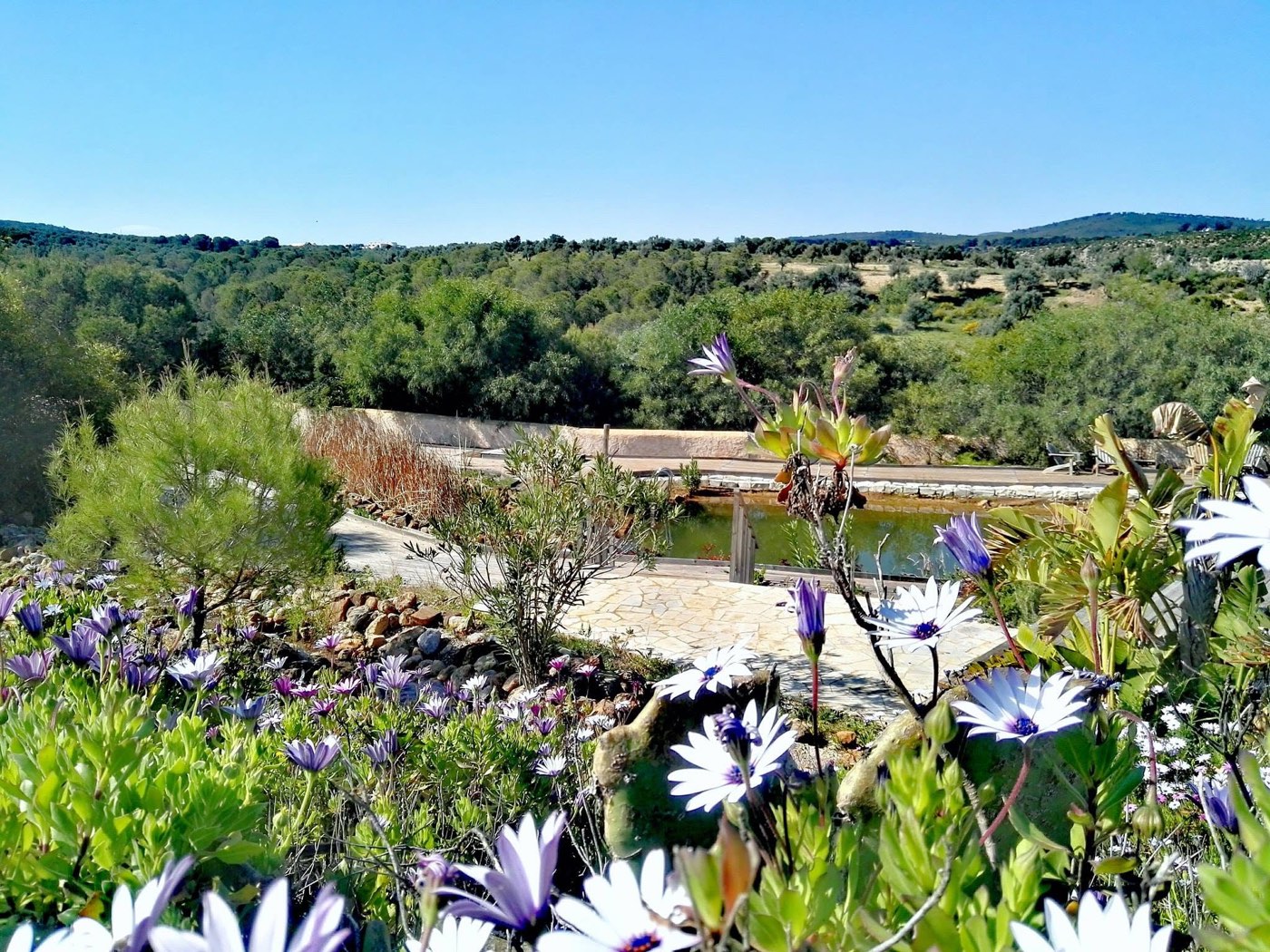 Ksar Ezzit